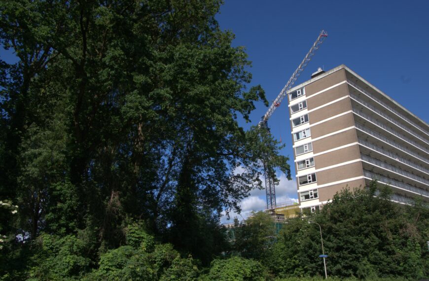 bouw arned 8